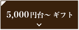 5,000円台以上