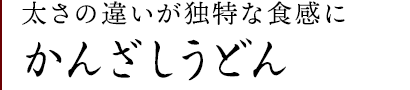 手延べかんざしうどん