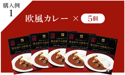 購入例1：欧風カレー×5個