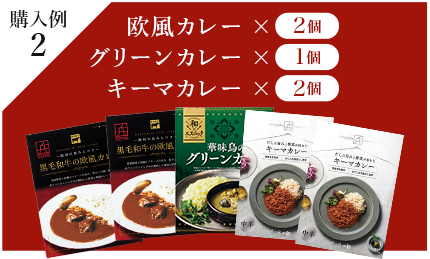 購入例2：欧風カレー×2個・グリーンカレー×1個・キーマカレー×2個