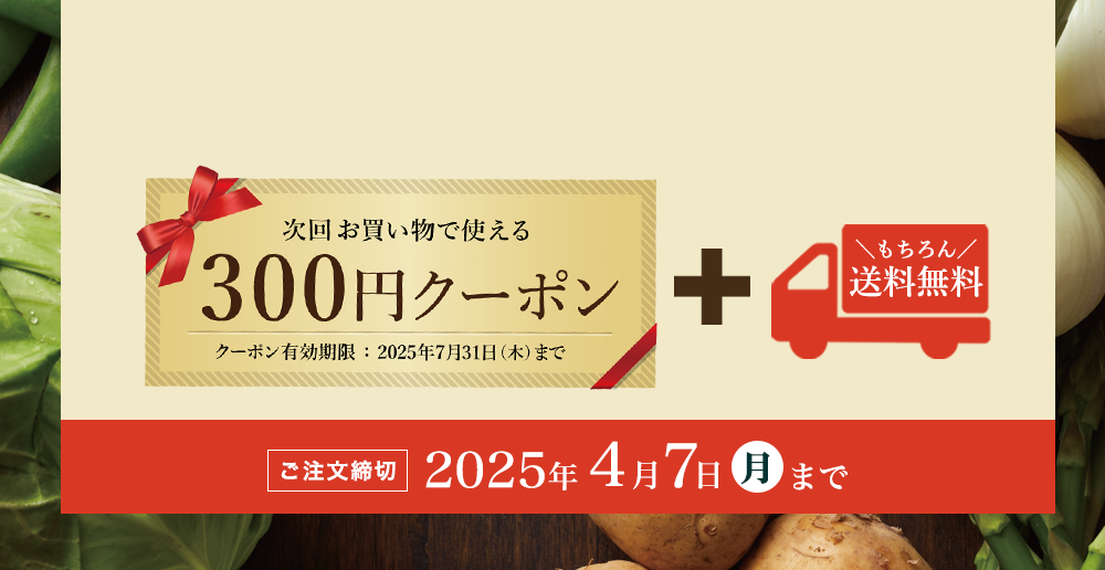 次回お買い物で使える300円分クーポン