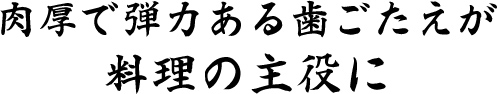 肉厚で弾力ある歯応えが料理の主役に